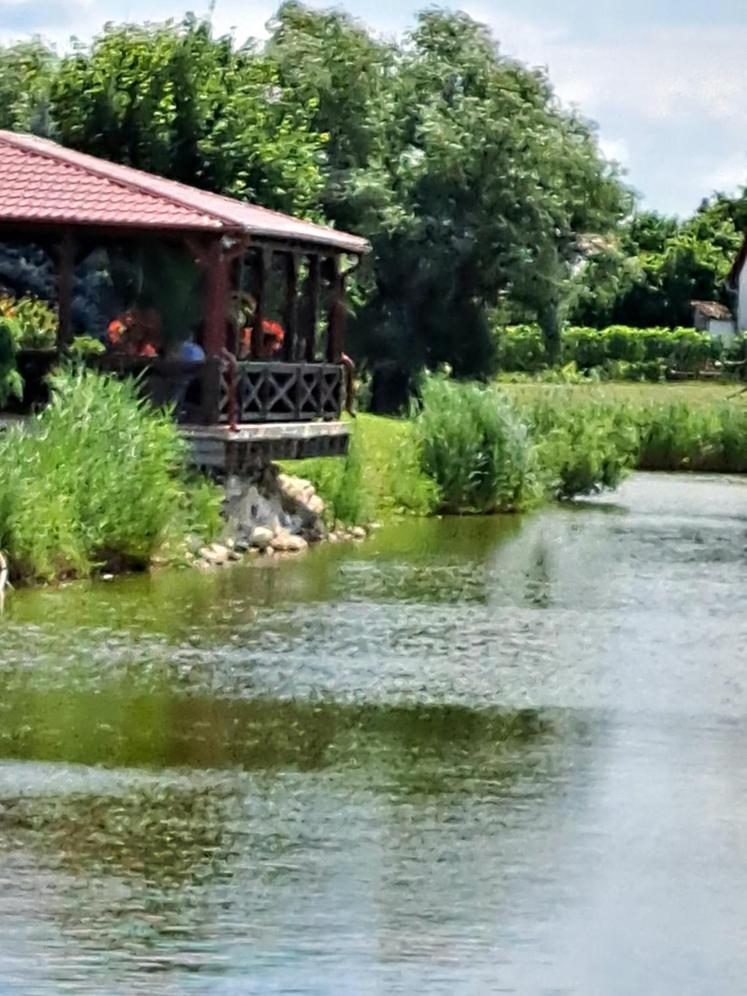 Grapeline Guesthouse Chotin Ngoại thất bức ảnh